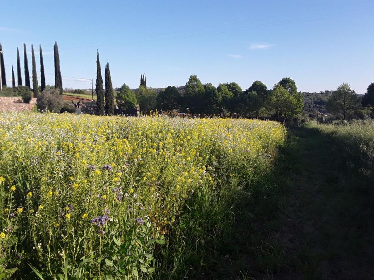 פירנצה Agriturismo Fattoria Di Malavolta מראה חיצוני תמונה